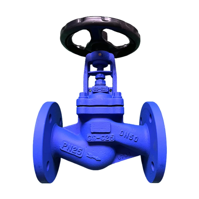 Cast steel stainless steel globe valve for steam and high temperature thermal oil special globe valve