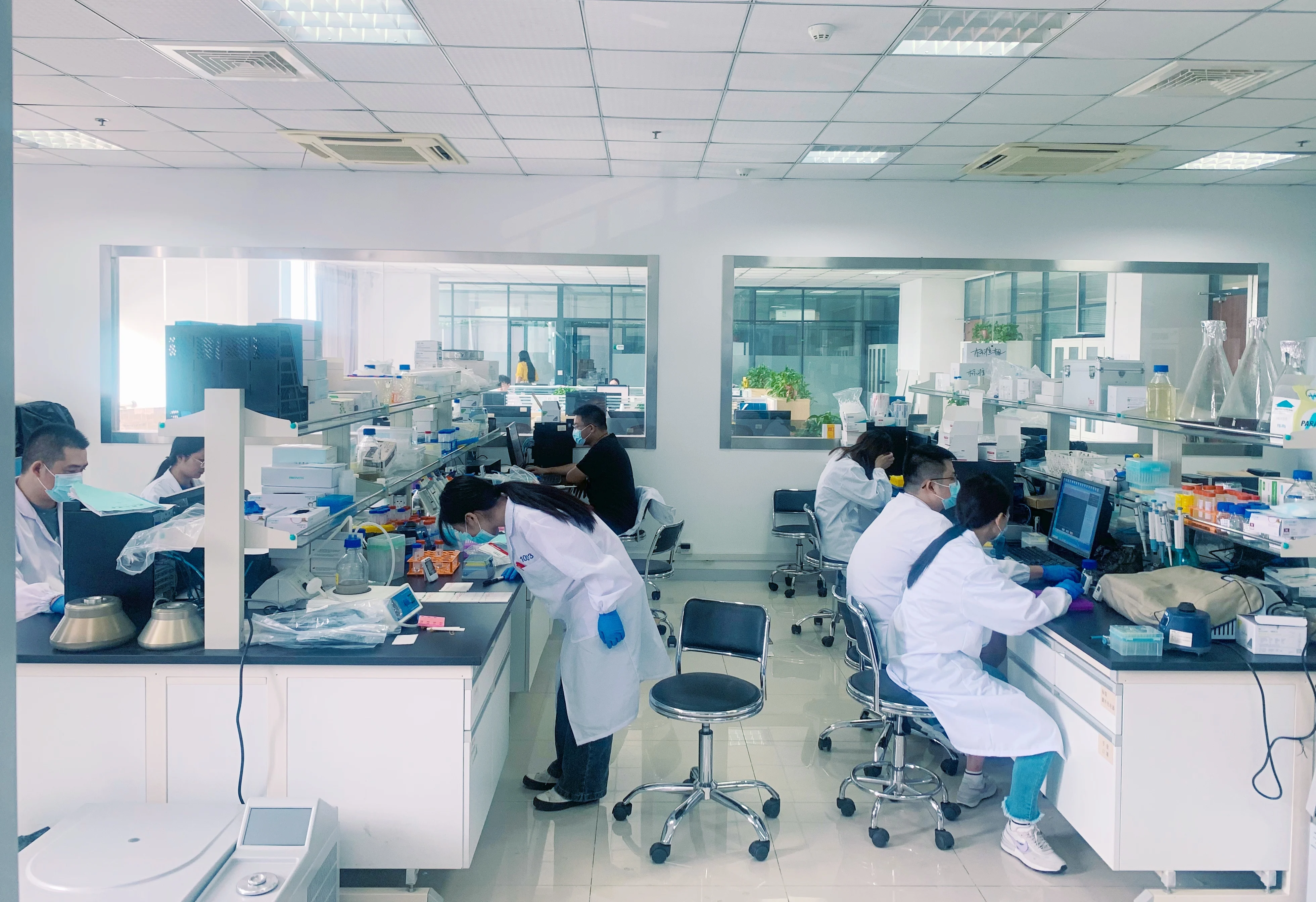 Ветеринар простая в эксплуатации фелина FIV/FeLV Ab Cat набор для быстрого тестирования кошек/быстрое тестирование кошек