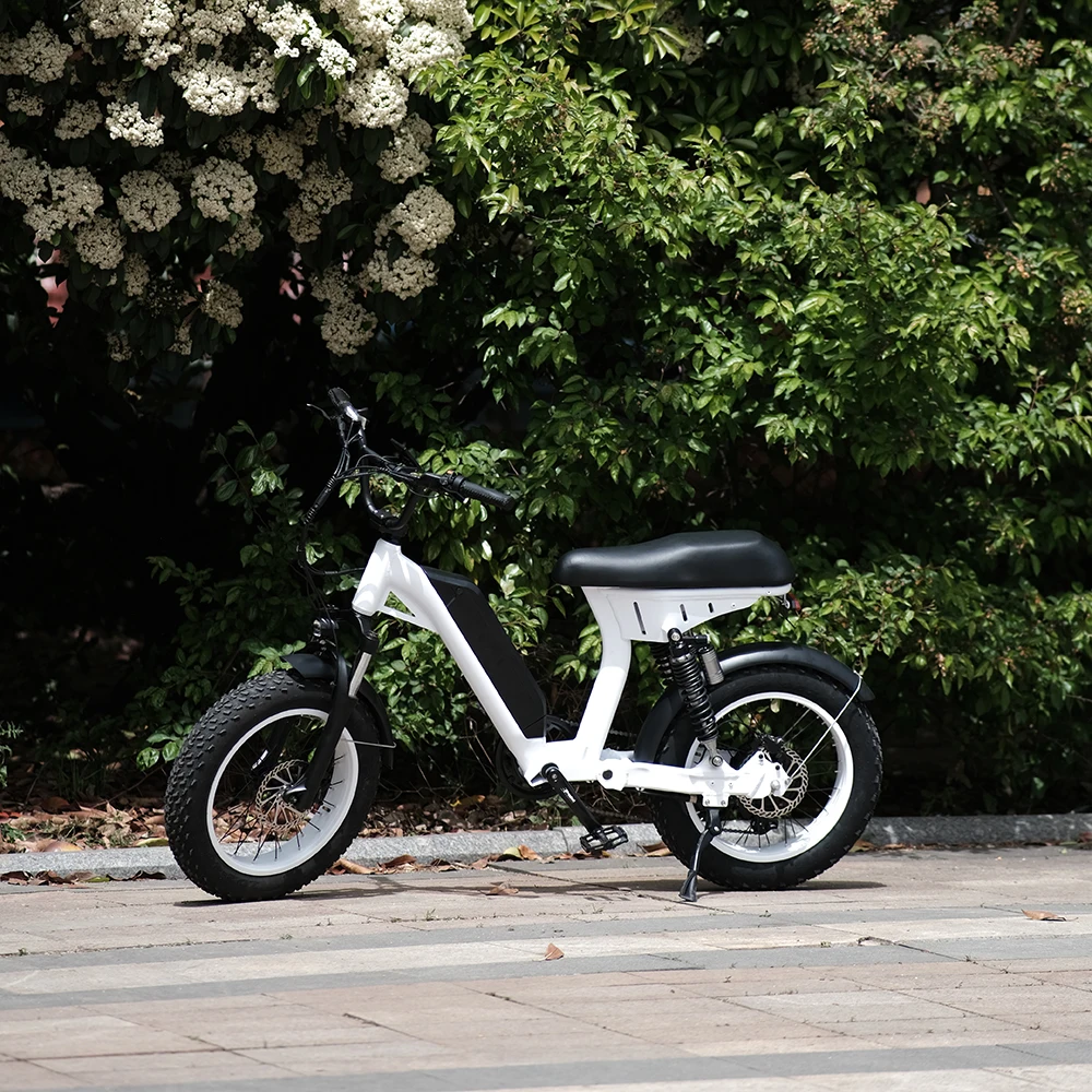 Aimos Classic 20 inch Adult City Electric Bike 250W/500W 10ah/20ah Lithium battery E Bike Electric Motorcycle Bicycle