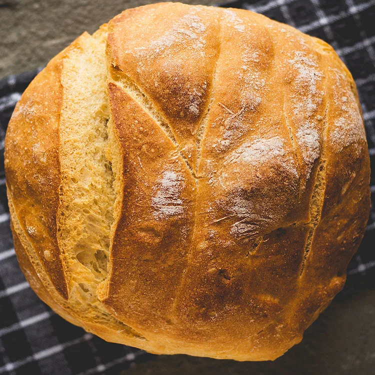 High active instant dry pastry dough bread improver baking fermentation yeast power 500g 125g high sugar supplier for swelling