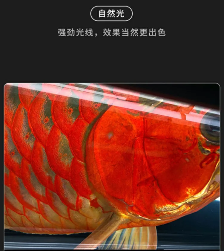 Jr MAYIN Ma Yin atomic лайтбокс Светодиодный дневной и ночной Двойной Режим Красный Дракон цвет добавление аквариума воды растения