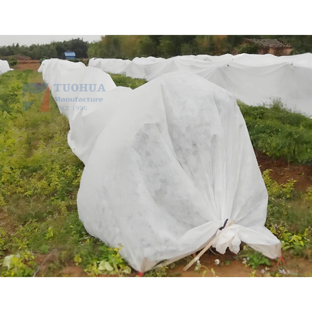Good Price Plant Cover with 100% Polyprpopylene Spunbond Non woven Fabric