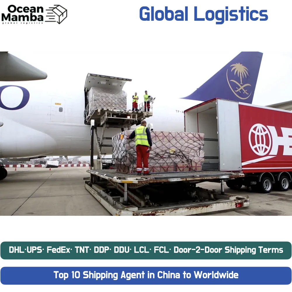 Ocean Mamba Freight Forwarder China to Pakistan India USA Shenzhen freight forwarder shipping agent