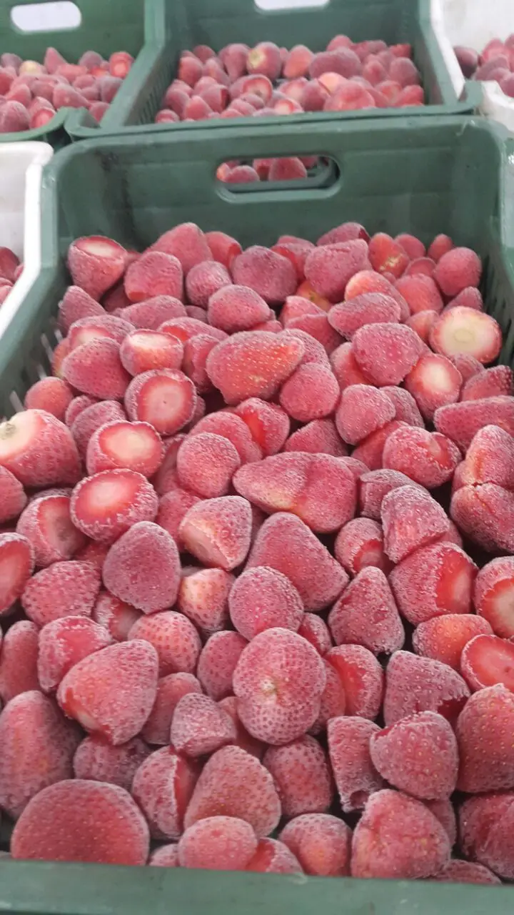 Bulk New Frozen Ball Store Whole Strawberry Fruit From Egypt For Export