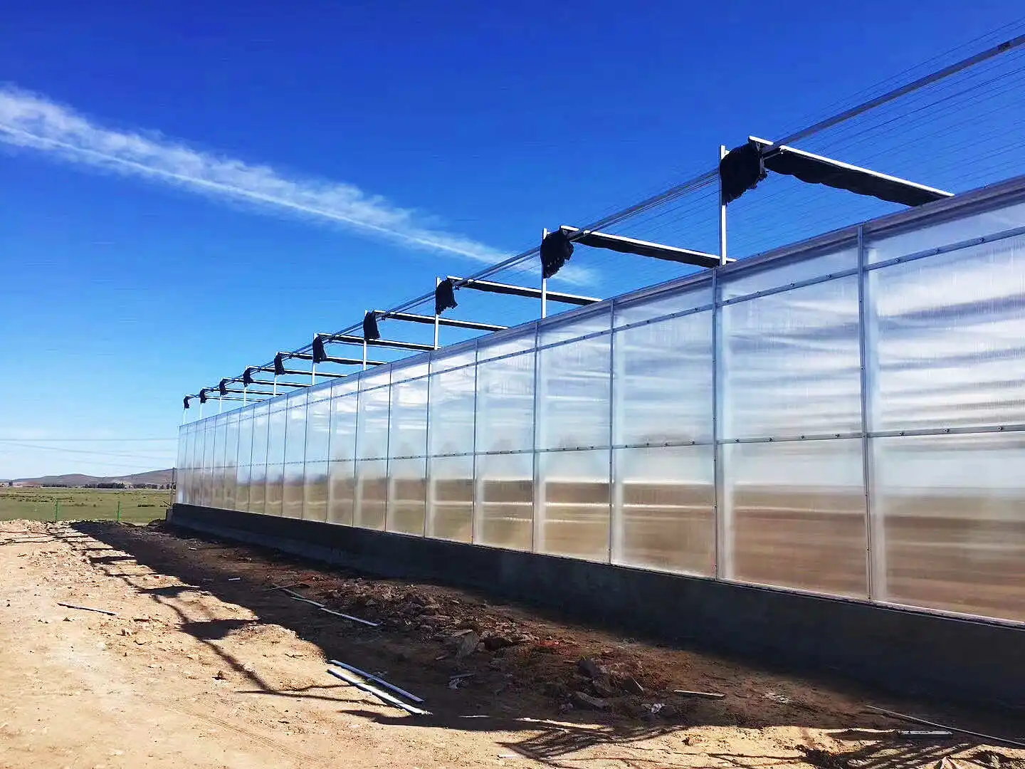 Multi-span venlo greenhouse hydroponic growing systems