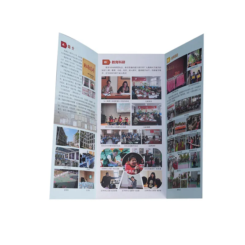 Customizable Flyers Beautiful Patterns and Bright Colors Offset Printing Services