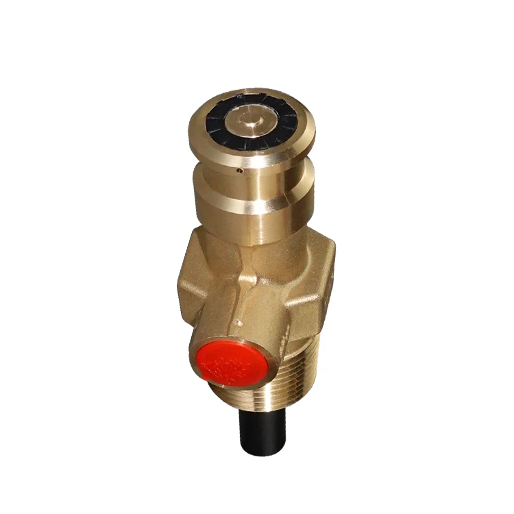 SiAN Safety Valve Factory Liquid Petroleum Gas Compact Cylinder Valve 22mm LPG Gas Propane Tank D22 Self-closing Valves
