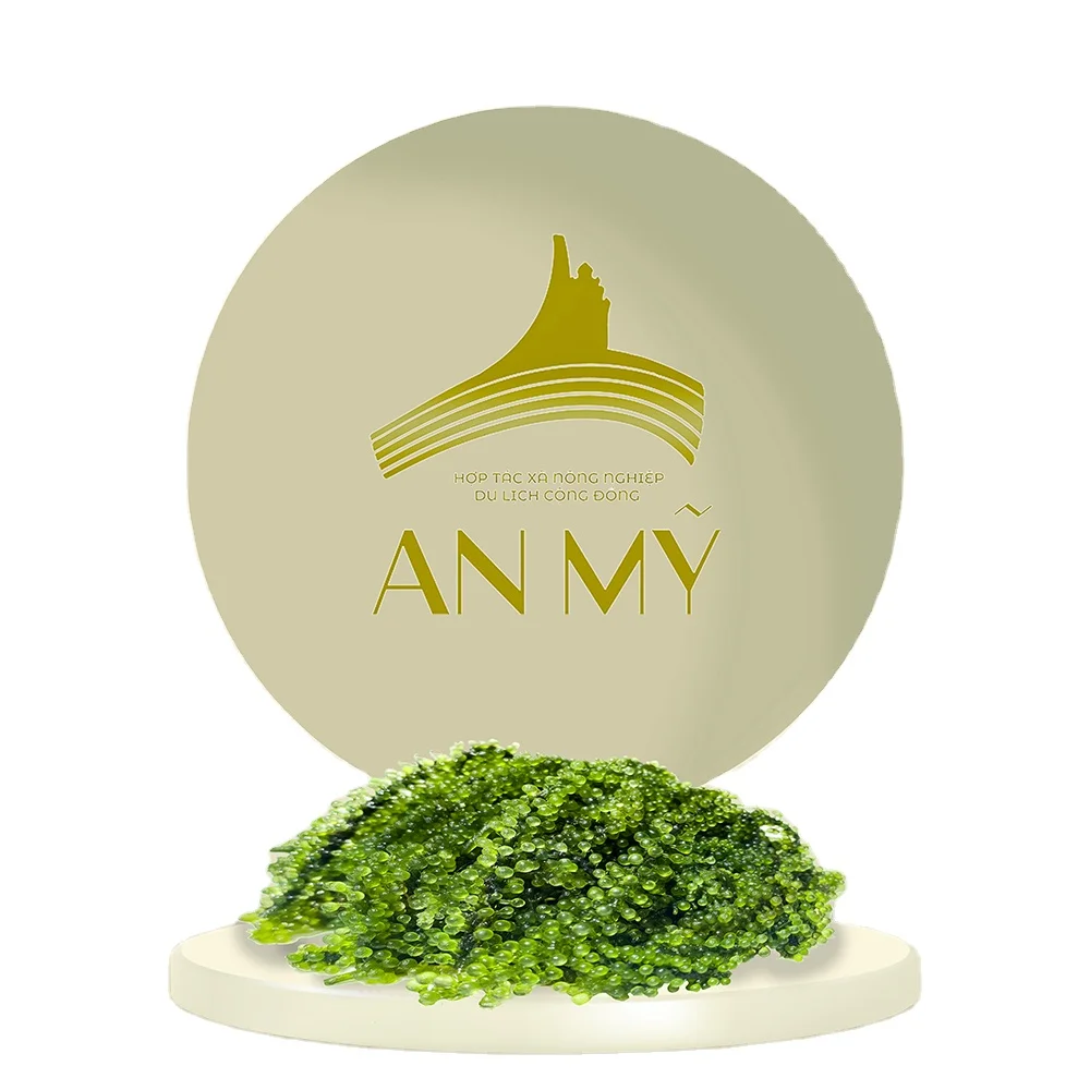 An My Dewatered Seaweed Top Grade Product Natural Green Sea Grapes From Viet Nam