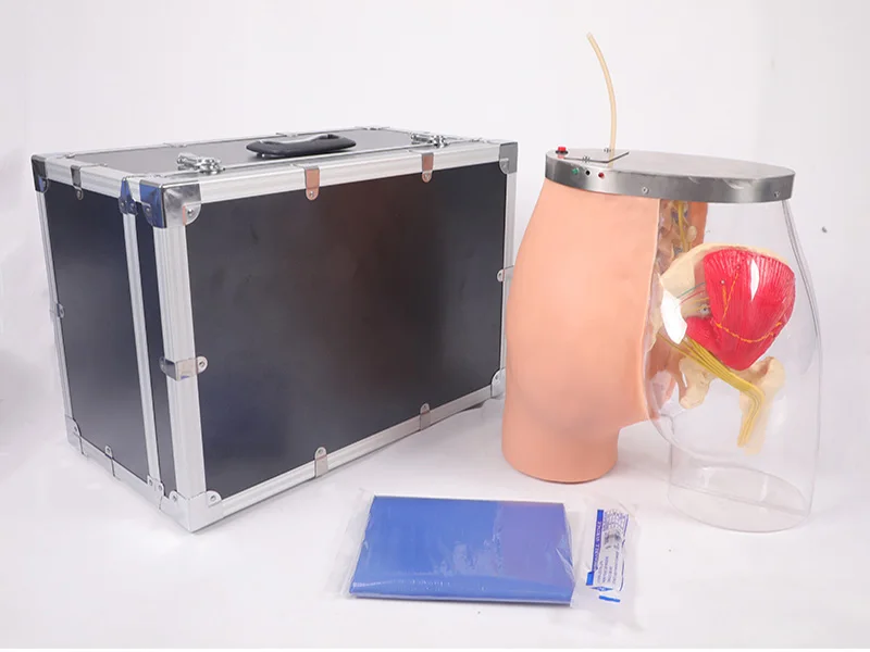 Advanced Nursing Hip Muscle Injection Buttock Transparent Model For Medical training