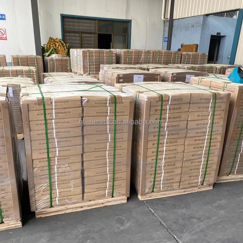 weight plate (1).JPG