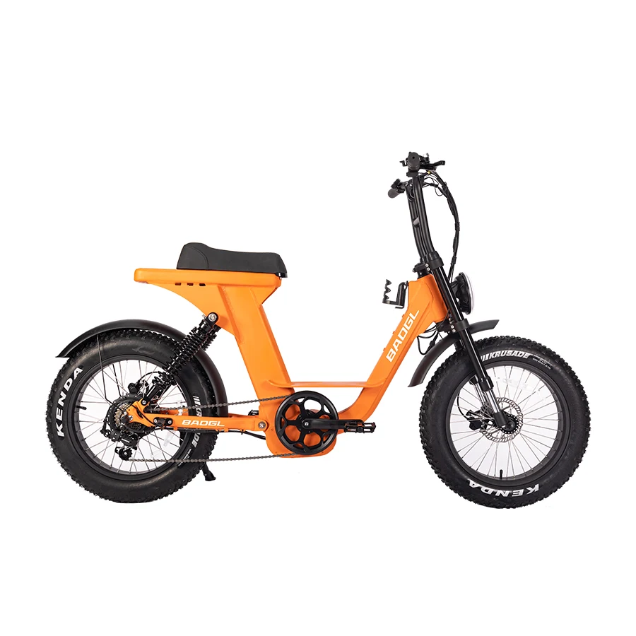 Full suspension fatbike electric 20 inch 250w fat tire ebike cheap price electric dirt bike bicycle electric