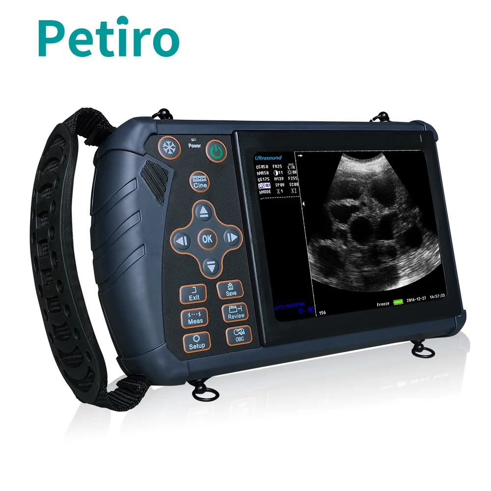 Petiro S1 Equine Microconvex Handheld Wireless Ultrasound Probe Manufacturer Portable Veterinary Ultrasound Equipment