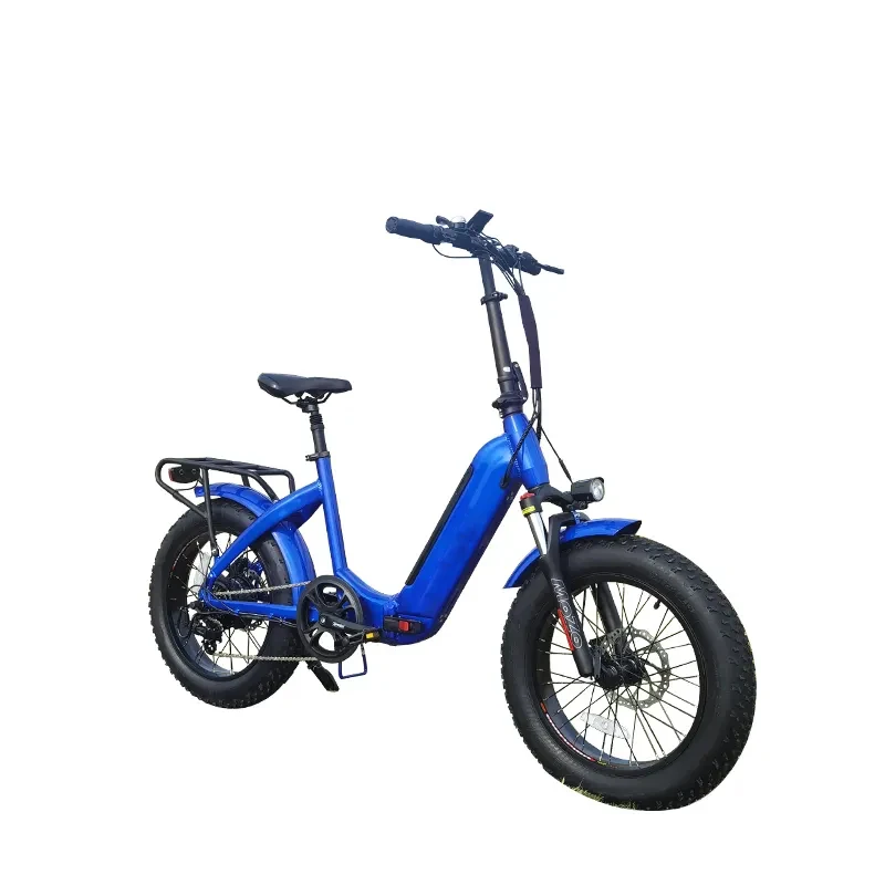 E bike EU Warehouse Electric Mountain Bicycle 48v 250w 500w 750w Motor with 10Ah Lithium Battery Fat Tire 20 inch Electric bike