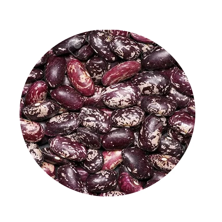 
Wholesale Purple Speckled Kidney Beans With Export Price 