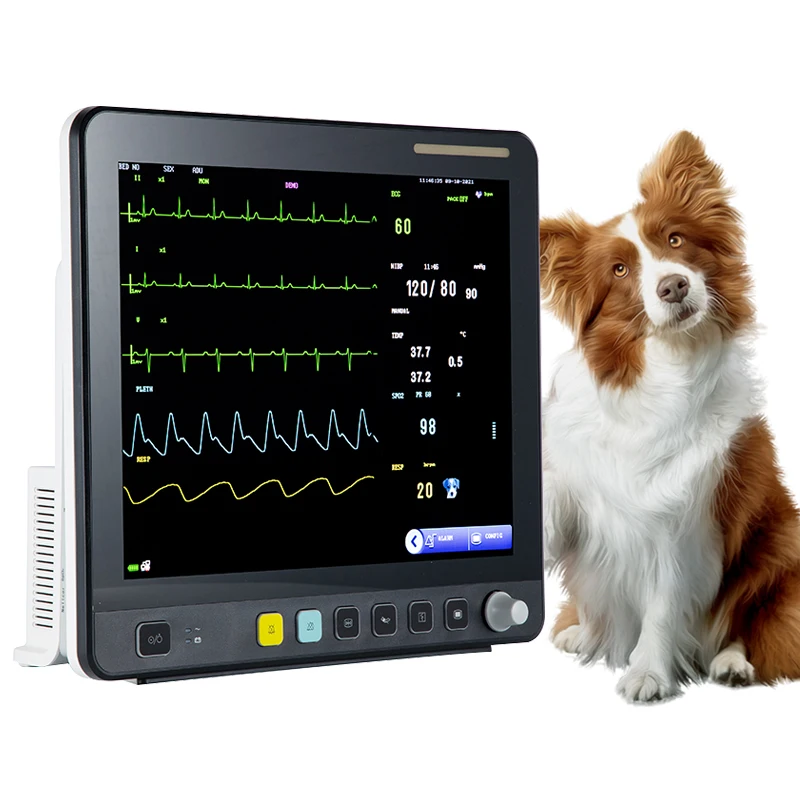 Medical Equipment 15 Inch Veterinary Machine Multi-Parameter Monitor for Pet Hospital