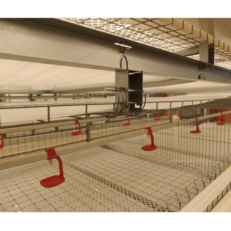 Factory Wholesale Direct Sale Broiler Chicken Automatic Raising Cage With Automatic Manure Removal System
