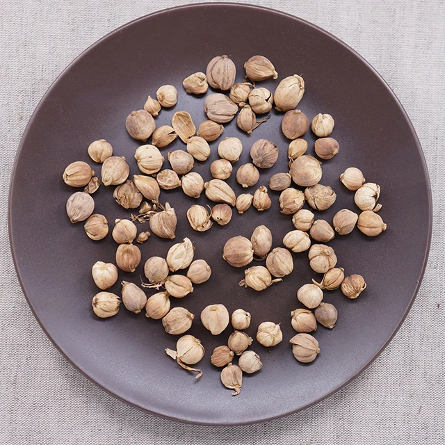 round cardamom cardamun nutmeg exporters Cardamine elettaria cardamomum organic