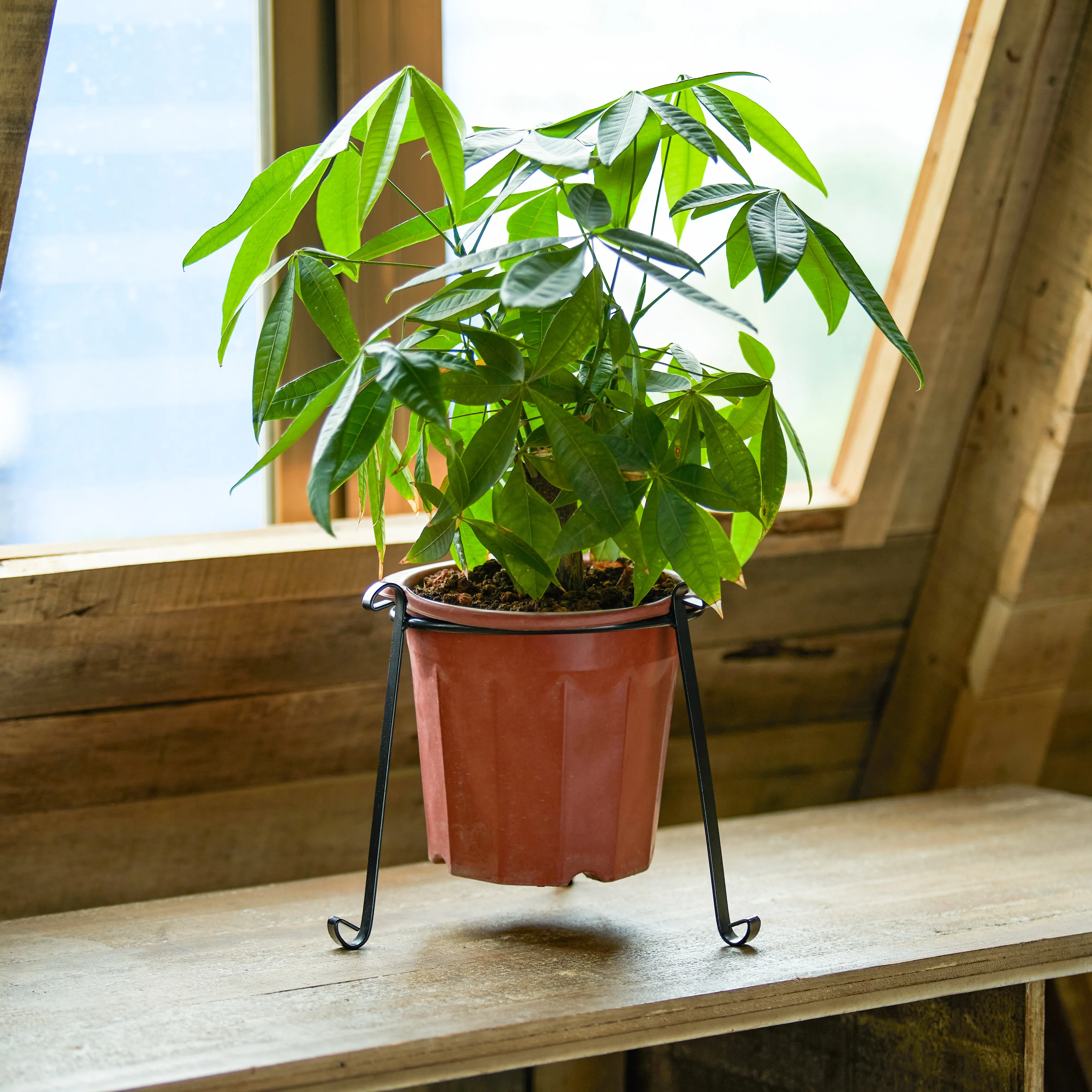 Western-style Flower pot Plant Stand IronMetal Flower Holder