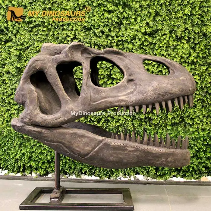 Большой динозавр с головой аллозавра из стекловолокна My Dino копия черепа в выставочном