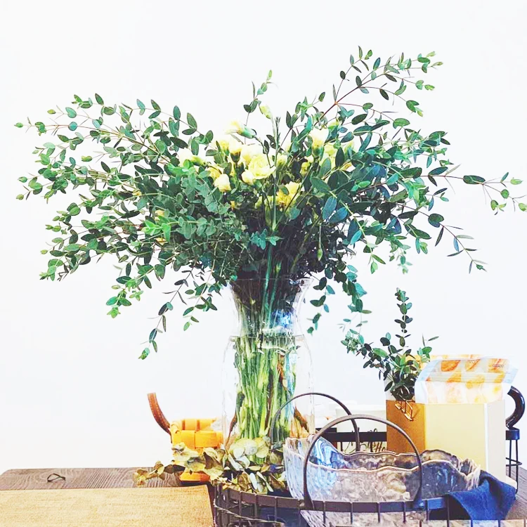 Summer Flora  hot sale new product long lasting Greenery Hanging Eucalyptus leaves preserved plants