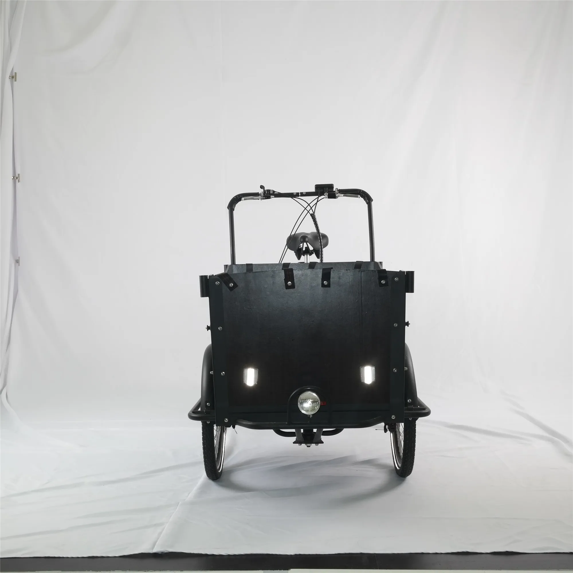 Classic three wheel family electric cargo bike/transport bike for sale