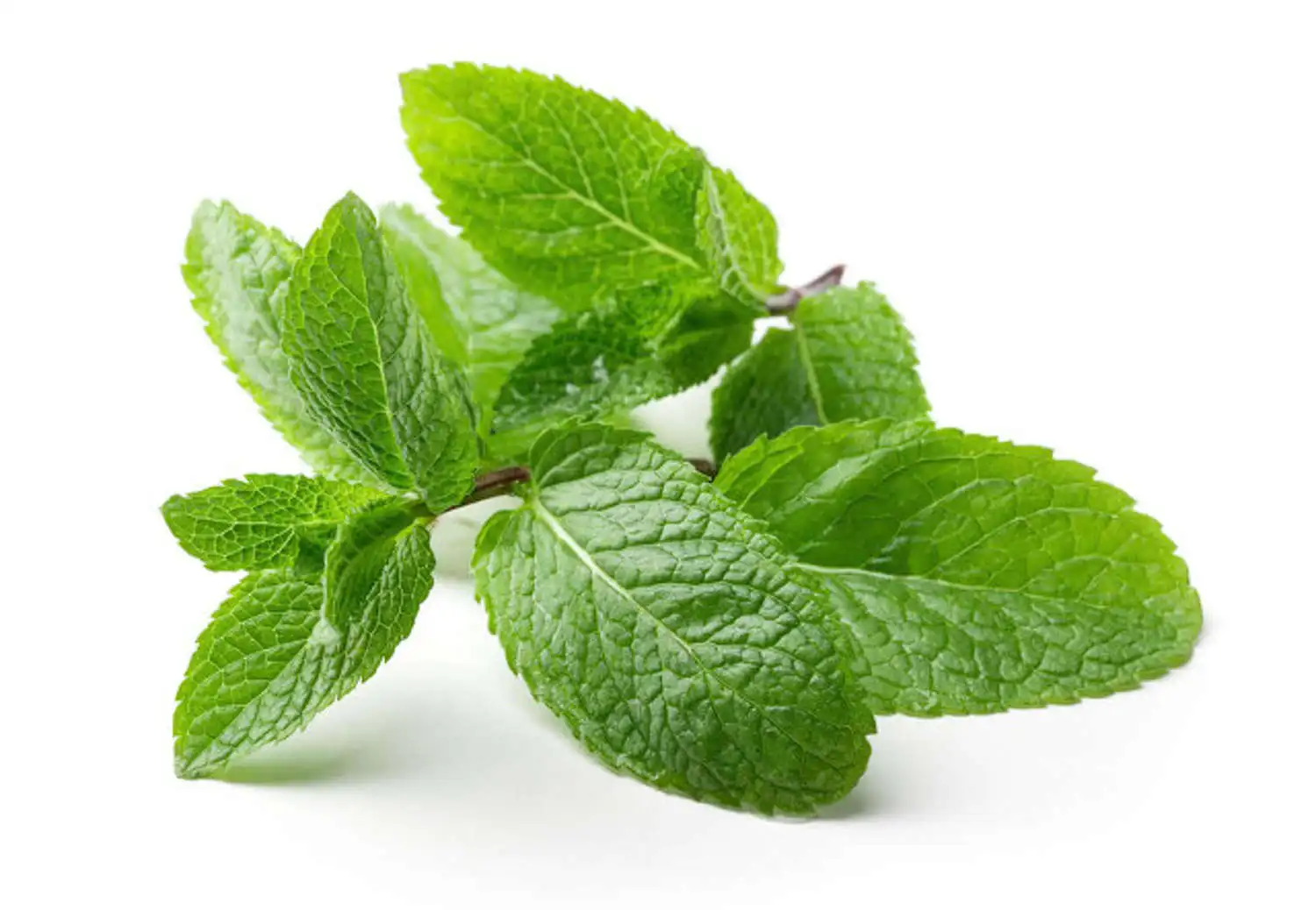 food Grade Lemon Mint Essence Super Concentrated Plant Extract Essence Synthetic Essence Spice Flavoring Agent