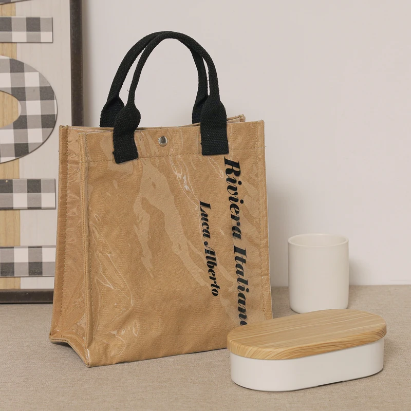 Thermal and Waterproof Features Color Printing Insulated Transparent Ice Bag PVC Cooler Bags with Handle