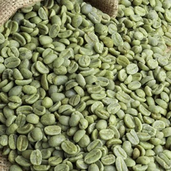 HIGH QUALITY NATURAL HEALTHY SUPER AROMA INDIAN GREEN COFFEE BEAN SUPPLIER AND EXPORTER