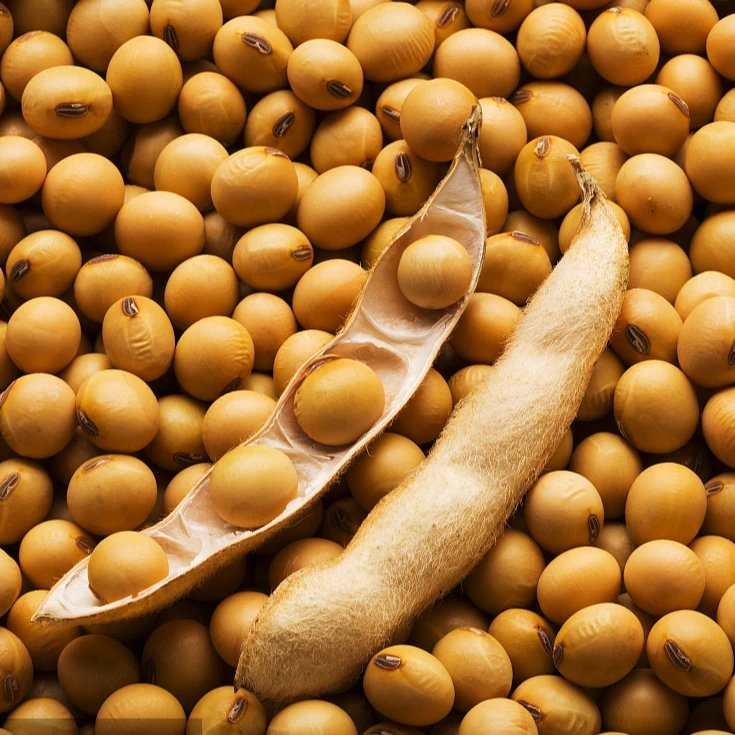 Highly soluble 9030  Dispersion Type, Isolated Soy Protein for nutritional food