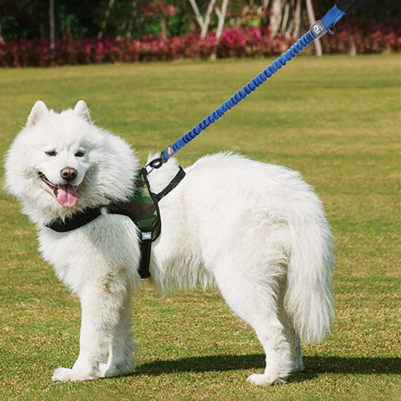 Custom Logo Name Adjustable Multi-color Available Strong Dog Leash with Reflective Strips Multifunctional Pet Leash