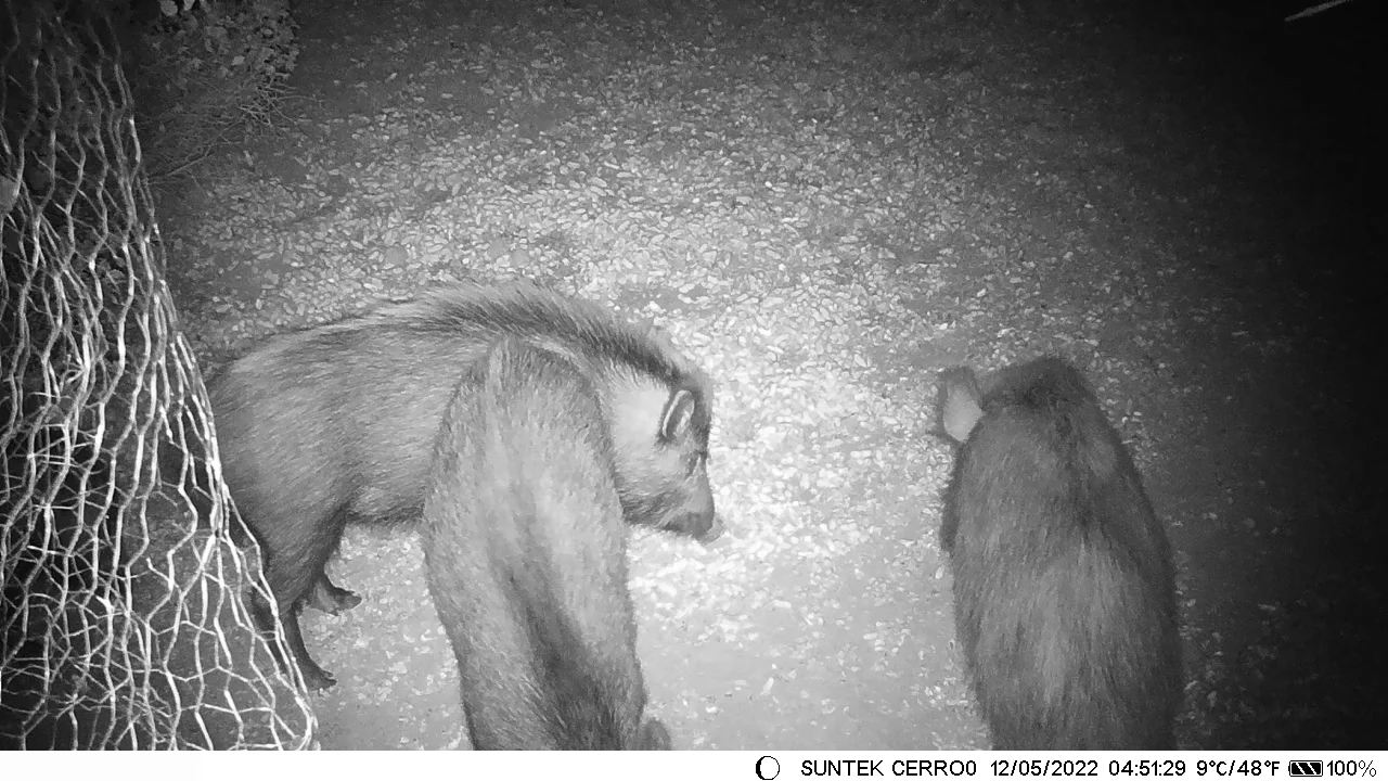 MMS SMTP GPRS Hunting Camera HC-550M 1080P 16MP  940nm 2G Trail Camera