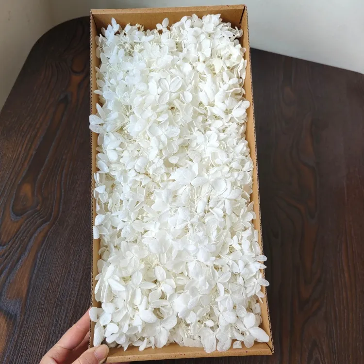 Fresh and Preserved Woody Hydrangea Box for Christmas Decorations DIY Flowers with Glue Accessories and Roses