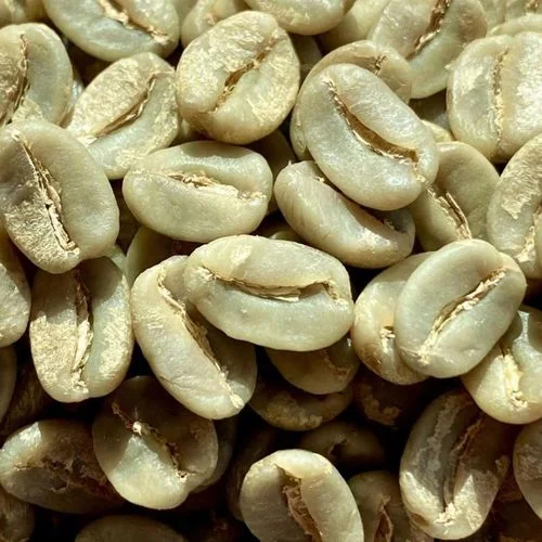 Поставка кофейной основы Юньнань зеленые кофейные зерна Арабика/Робуста Арабика