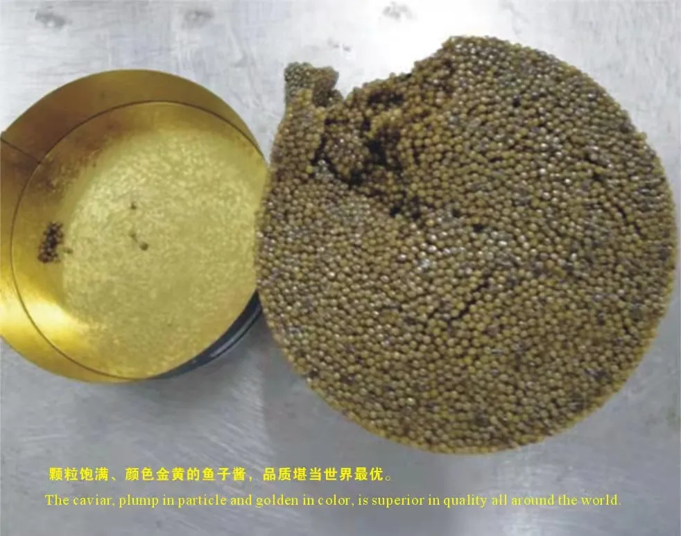 Liangmei Dongjiang Lake black russian caviar export price