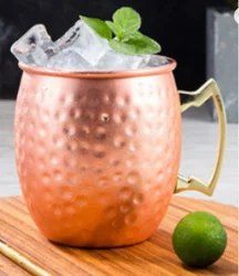Amazon New Arrival 2022 Bar Tool Beer Bug Cocktail Glass 304 Stainless Steel 500ml Moscow Mule Cup