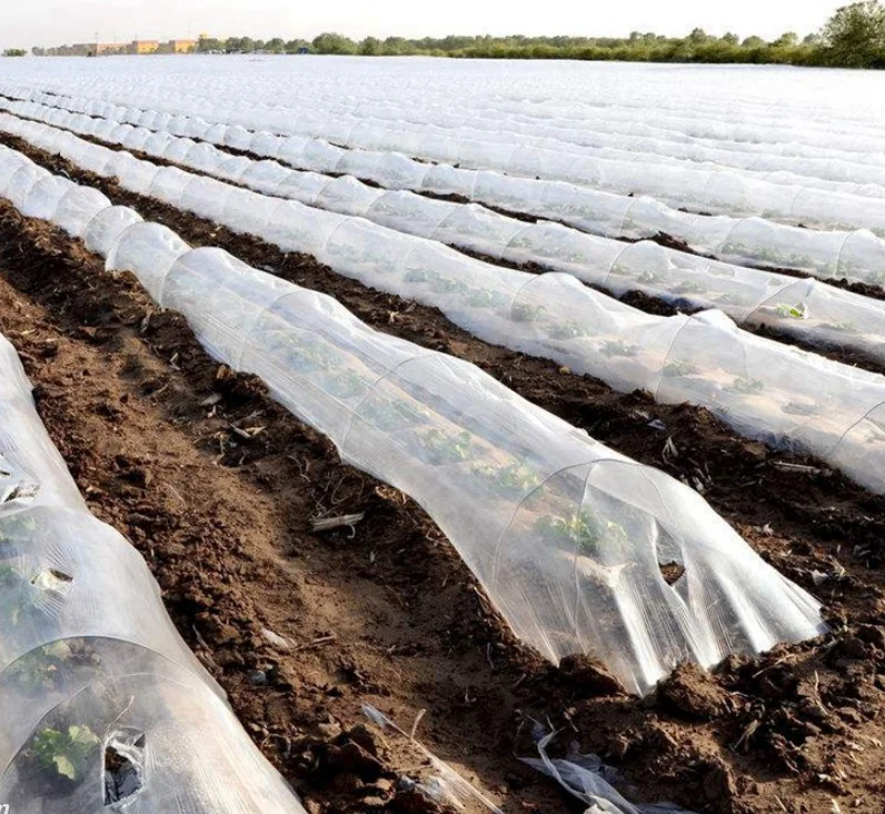 black cover perforated mulch plastic mulching film paper for tomato mulch