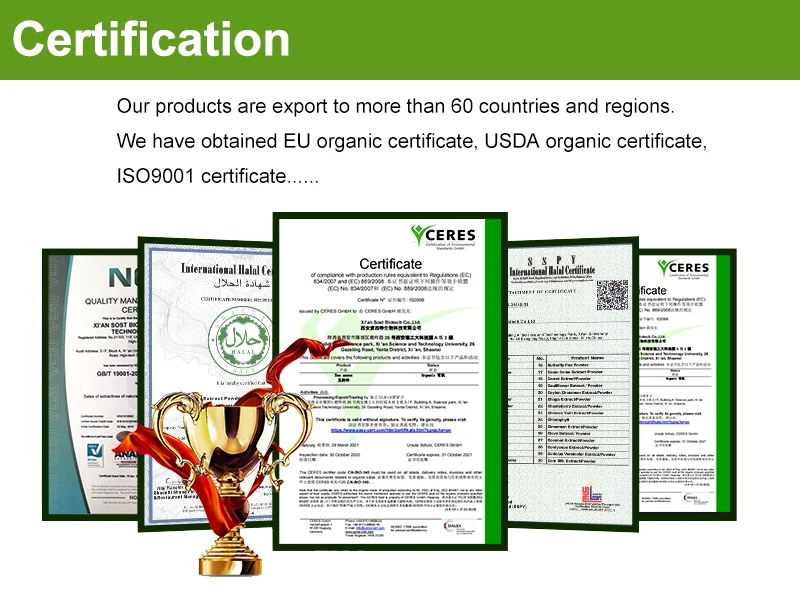 Premium quality dried cumin grain Chinese black cumin seeds organic cumin spice for sale