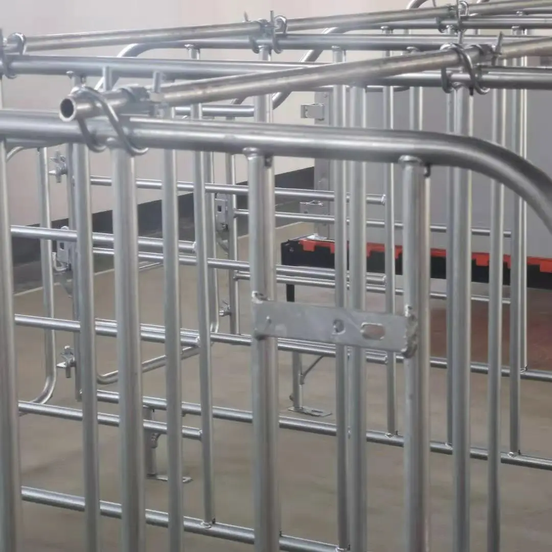Pig House Farming Equipment Galvanized Sow Gestation Cage / Gestation Pen / Gestation Crate pig barn