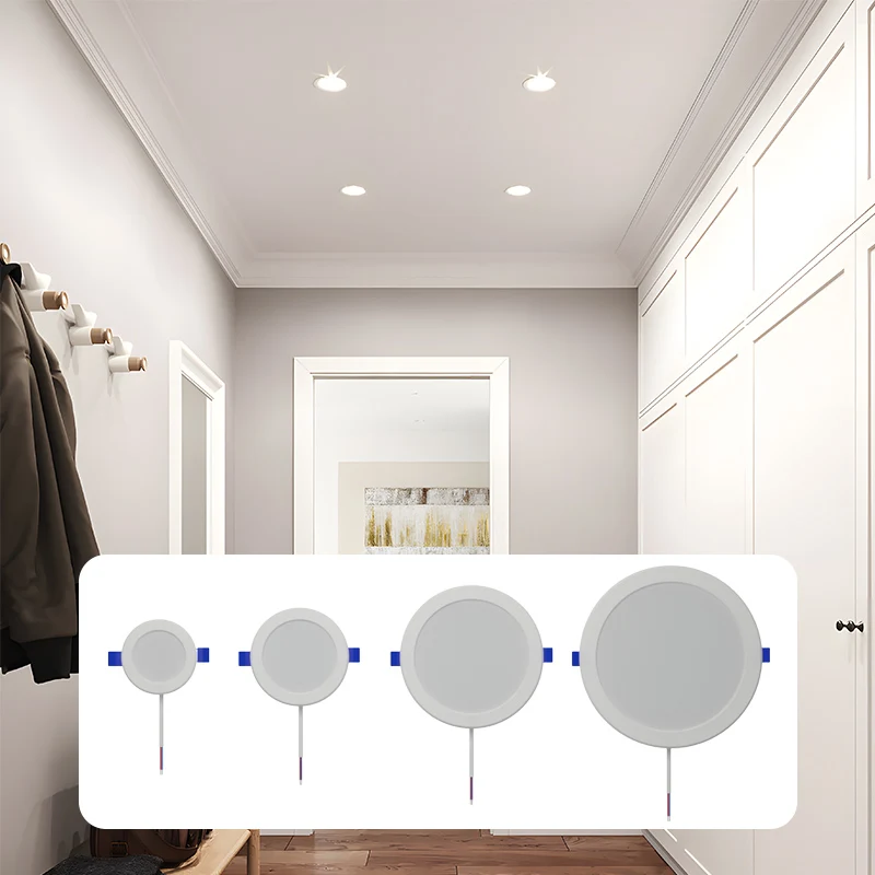 Wholesale Hot Sale Dimmable Wall Ceiling Small Round Led Panel Light 3-24w Slim Design with CCT