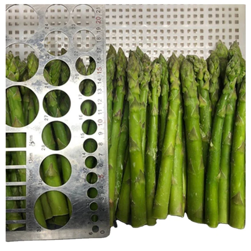2022 new crop Fresh Frozen Premium Healthy Delicious Frozen Green Asparagus Frozen Vegetables