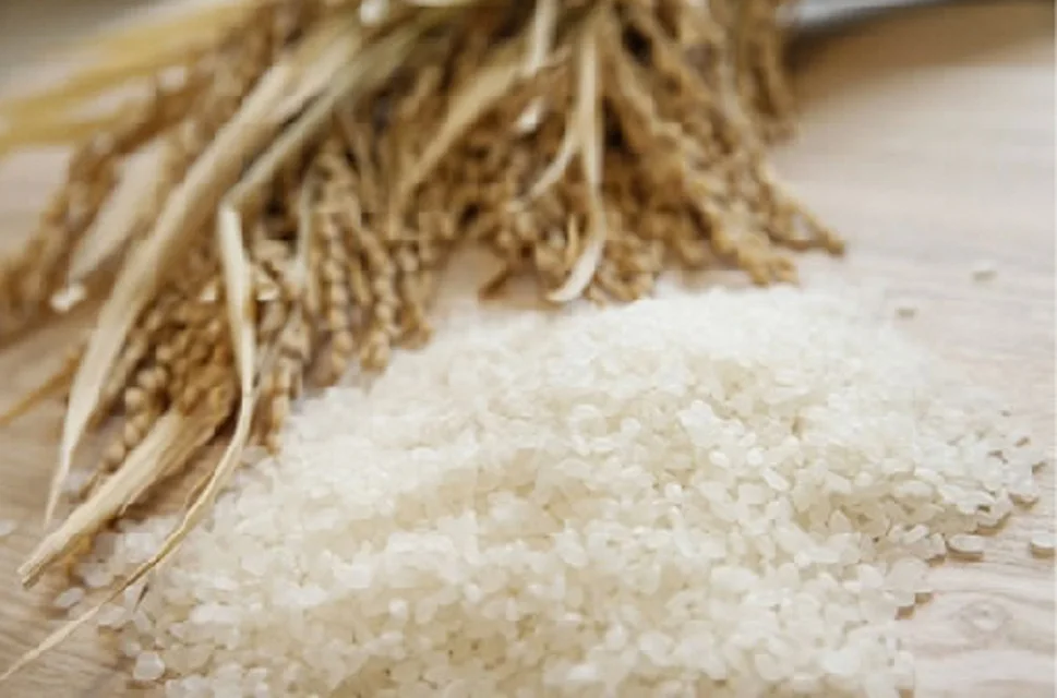 Soft sweetness fruity flavour Japanese sake rice wine alcohol