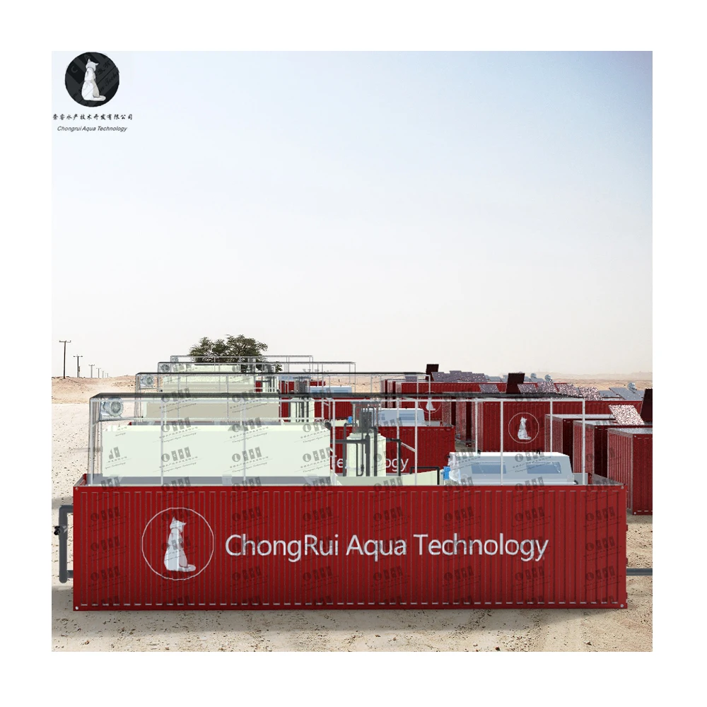 Greenhouse Growing System Commercial Industrial Shipping Container Farm with Ras