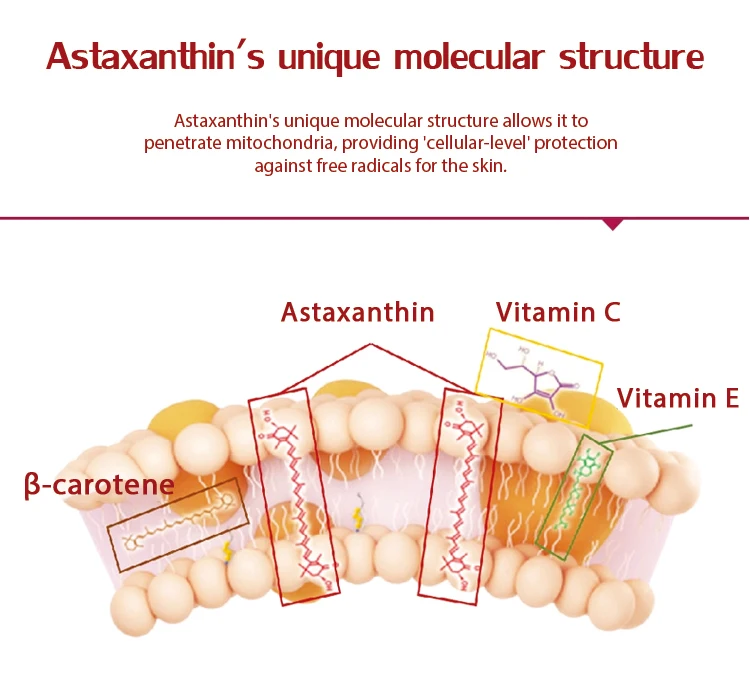 Anti-oxidants 5% Astaxanthin extract Oil  5% Natural Haematococcus Pluvialis Extract