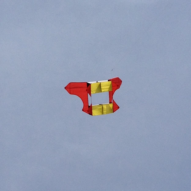 Weifang завод, китайский 3d самолет cody kite
