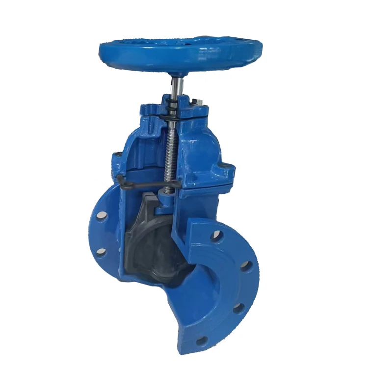 Customized F4 soft seal gate valve Cast iron flange manual standard copper gland lifting female gate valve