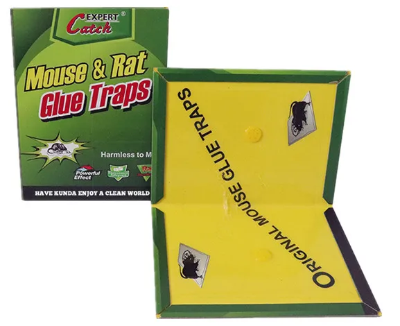 Trampa Ratones Pega Raton Mice Rat Snake Lizard Mouse Glue Board Trap Manufacturer