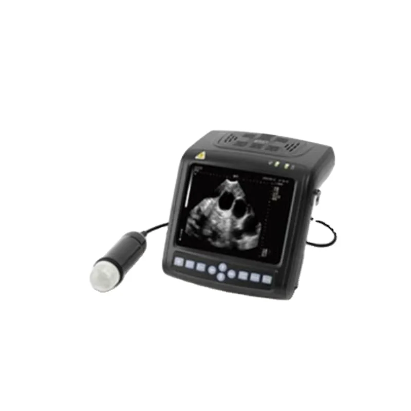 Digital mechanical sector pregnancy scanner ultrasound scanner for sheep portable ultrasound scanner machine