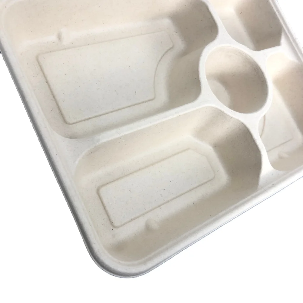 5 compartment sugarcane pulp degradable food container disposal