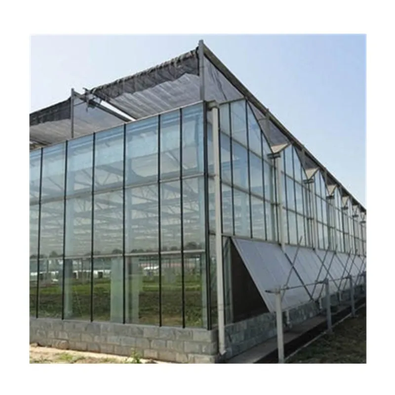  Large Multi-span Commercial Venlo Glass Greenhouse for