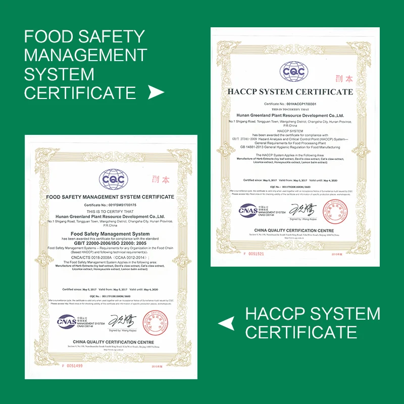 Top Grade Hedera Helix Extract 10% Dried Ivy Leaf Extract With Cheap Price